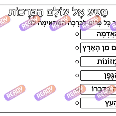 רדי, ready, מחולל דפי עבודה, דפי עבודה בAI, מחולל דפי עבודה חרדי. יוצר דפי עבודה, דפי עבודה להדפסה, דפי עבודה חרדי, דפי עבודה לגן, דפי צביעה, מחולל דפי צביעה. יוצר דפים. מחולל דפי משימה. דף משימה להדפסה